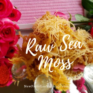 100% Wildcrafted Raw Irish Sea Moss 1 & 3 lbs Available! Email for Bulk prices!